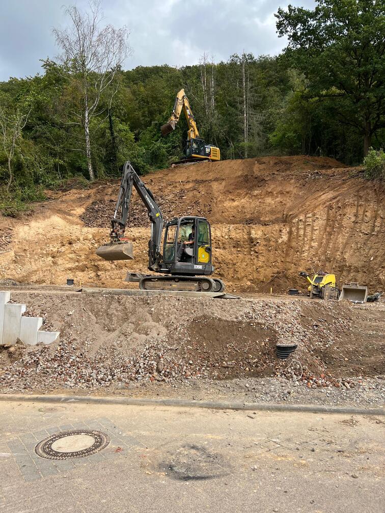 Sichtschutz Pflanzenwand