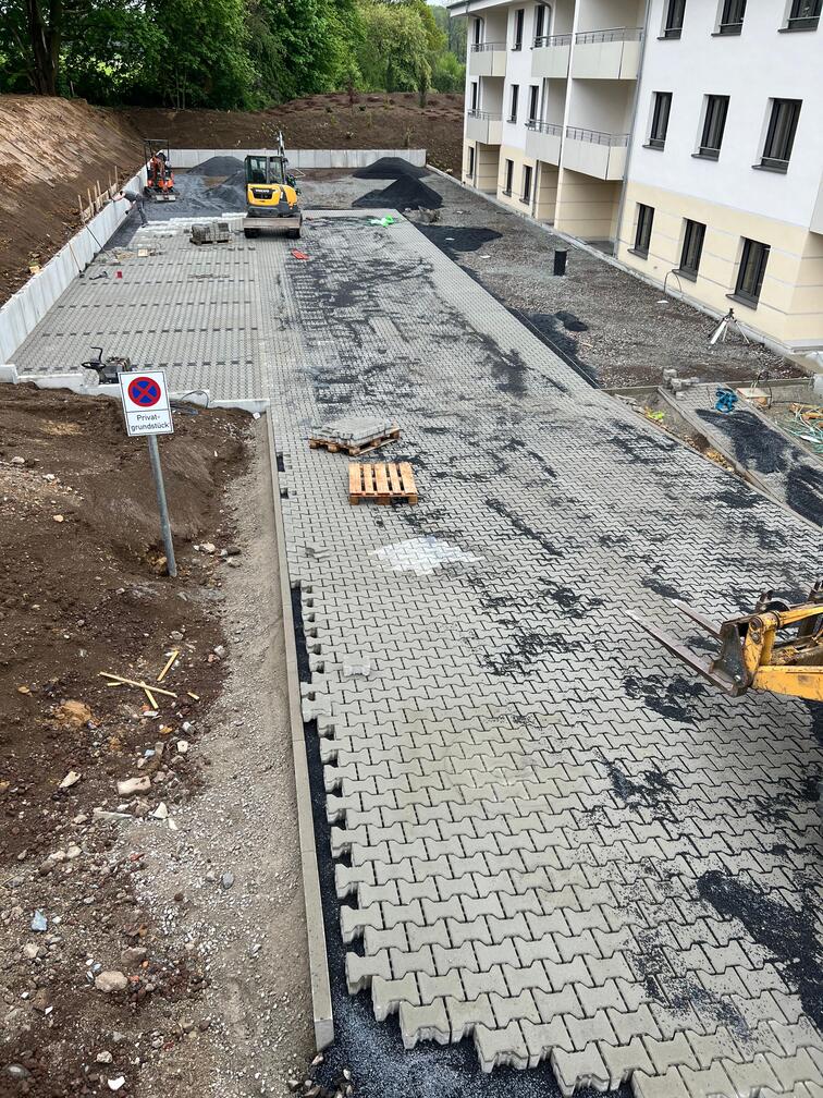 Rasenneuanlage Saatgut