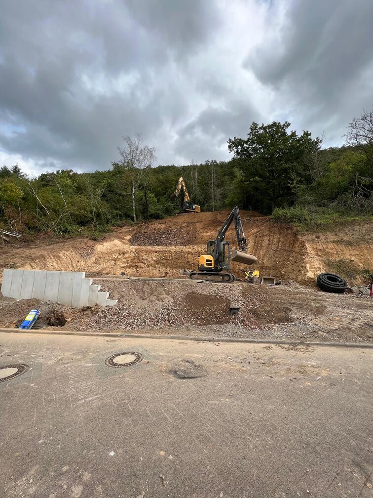 Gartenpflege Heckenschneiden
